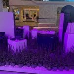 Riyadh Air stand at World Travel Market 2025 with branded hospitality setup.